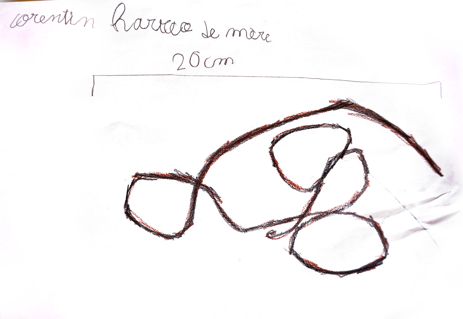 Dessin de haricot de mer