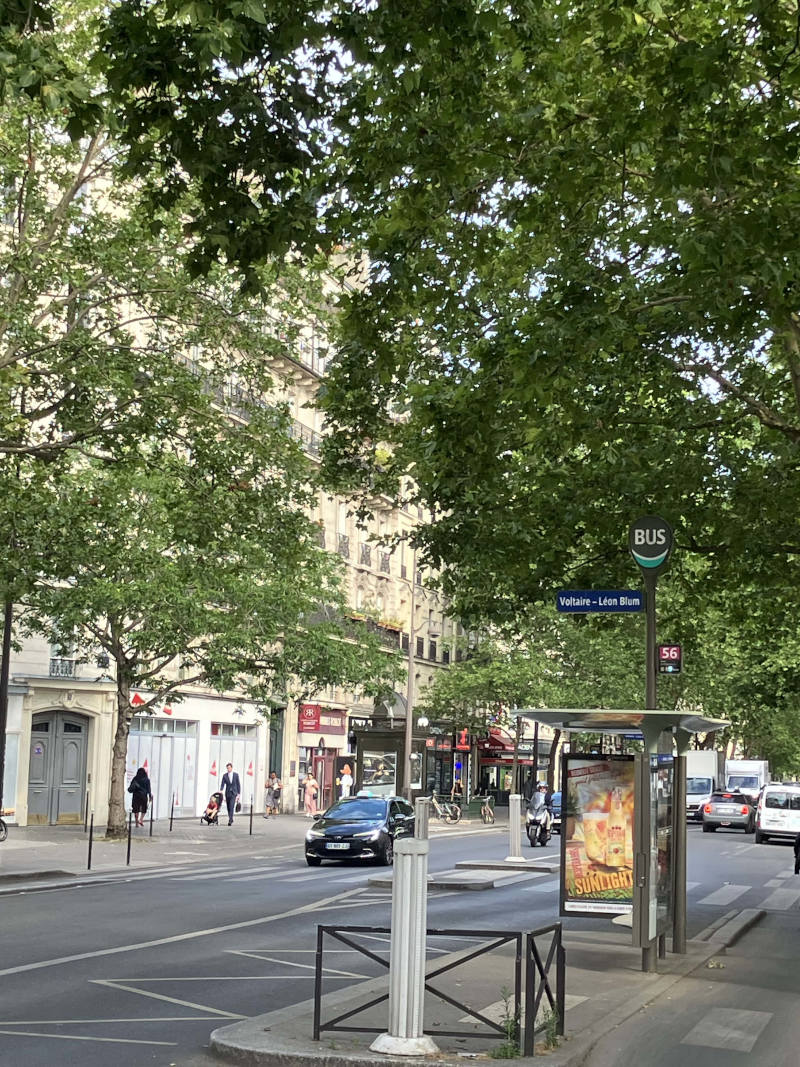 Vue d'une avenue bordée d'arbres