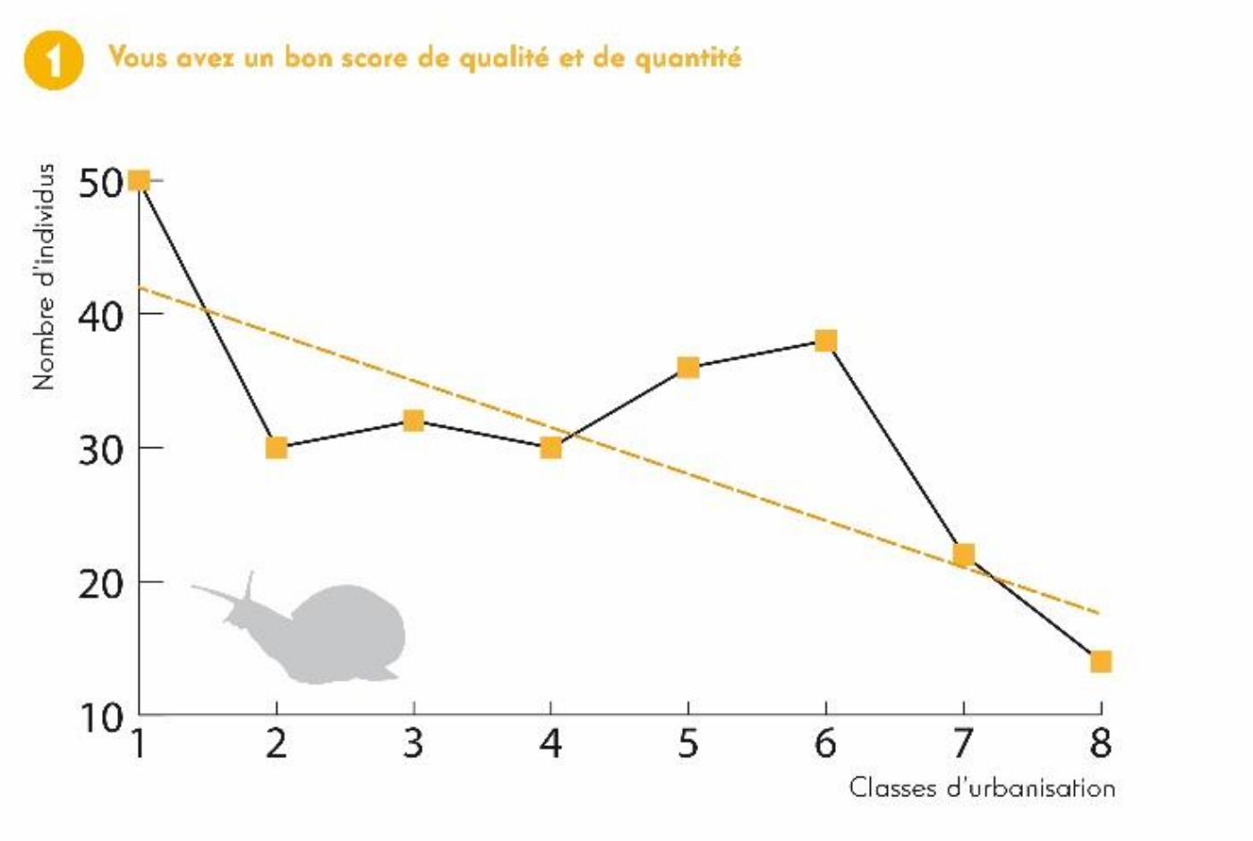 Exemple de graphique