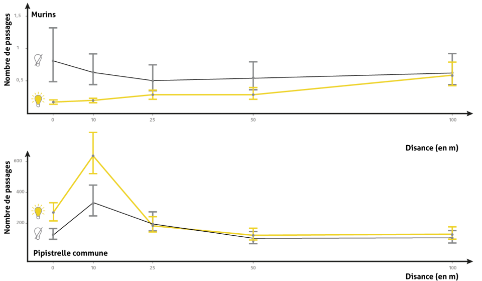 graphique
