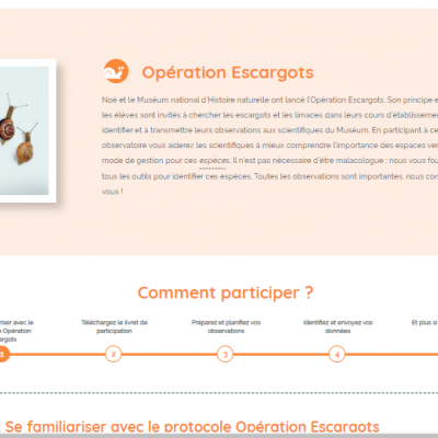 Capture du site web