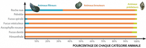 Graphique permettant de comparer vos données à la moyenne nationale