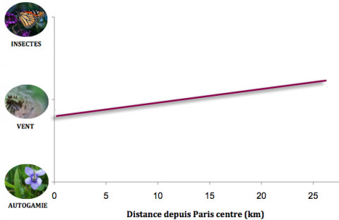 Graphique représentant le mode de pollinisation des plantes en fonction de la distance au centre de Paris. Plus on s'en éloigne, plus la pollinisation a lieux via les insectes et non le vent.