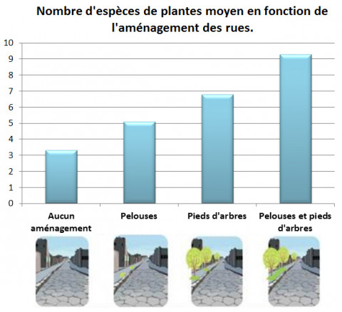 Graphique représentant le nombre d'espèces de plantes moyen en fonction de l'aménagement des rues