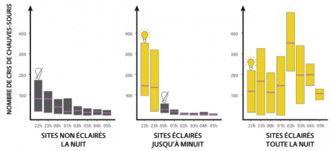 Graphique représentant le nombre de cris de chauve-souris enregistré en fonction du type d'éclairage : sans éclairage, jusqu'à minuit, toute la nuit 