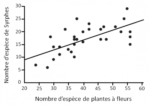  Nombre d’espèces de syrphes en fonction du nombre d’espèces de plantes à fleurs pollinisées par les insectes dans les prairies calcaires