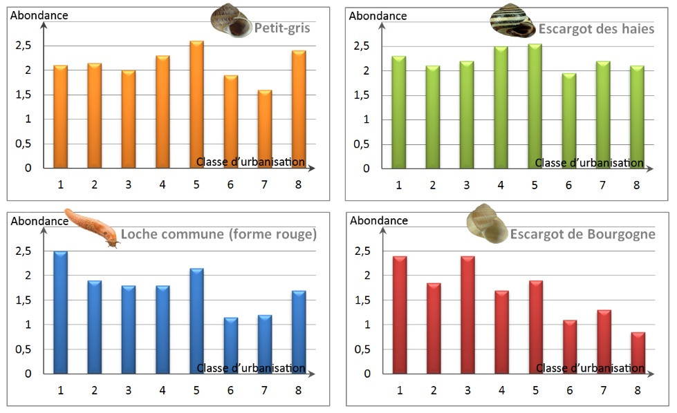 Graphique représentant l’abondance de 4 espèces en fonction de l’urbanisation du milieu. Une classe d’urbanisation de valeur 1 correspond à un milieu très peu urbanisé, une valeur 8 correspond à un milieu très urbanisé