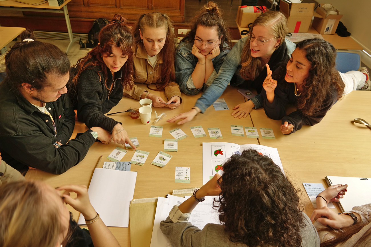 renature ta cour avec les élèves MEEF