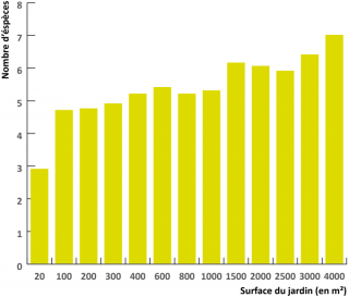 Graphique représentant le nombre d’espèces en fonction de la surface du jardin. 