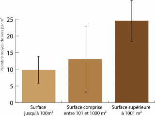 Sur ce graphique on observe que plus la surface de la cours augmente, plus le nombre moyen de vers de terre par mètre carré augmente : de 10 vers par mètre carré pour une surface de 100 mètres carrés jusqu'à 25 vers par mètre carré pour une surface supérieure à 1001 mètres carrés