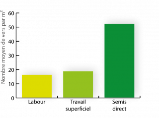 Sur ce graphique on observe que le nombre moyen de vers par mètre carré est plus important pour un semis direct (environ 50 vers par mètre carré) que pour le labour ou le travail superficiel (entre 15 et 20 vers par mètre carré)