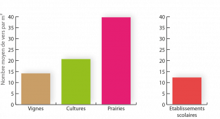 Graphique représentant le nombre moyen de vers par mètre carré : il augmente de façon croissante dans les milieux suivants : établissements scolaires, vignes, cultures, prairies