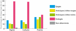 Sur ce graphique on observe que les endogés sont le type dominant dans les vignes et les cultures (environ 60%). Dans les prairies les 4 groupes (épigés, endogés, anéciques à tête rouge et à tête noire) sont également représentés (entre 20 et 30 %)
