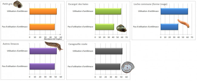 Abondance de différents escargots en fonction de l'utilisation ou non d'antilimace chez 5 espèces