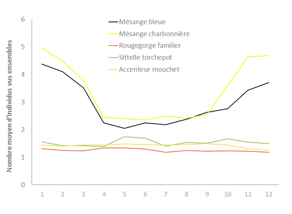 Graphique du nombre moyen d'individus vus ensemble en fonction des mois de l'année