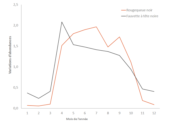 Graphique des variations d’abondances mensuelles pour le Rougequeue noir et la Fauvette à tête noire