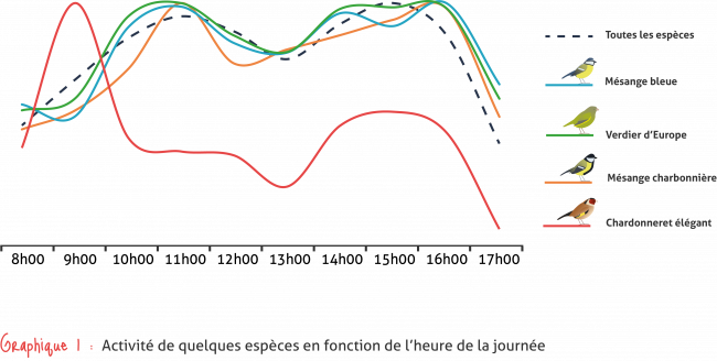 Graphique de l'activité des mésanges bleues et charbonnière, du verdier d'Europe et du chardonnerret élégant en fonction des heures de la journée