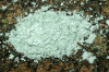 Lichen crustacé poudreux